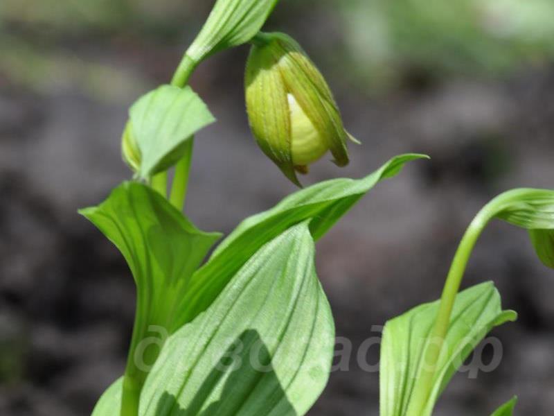 24.05 ������