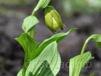 24.05 ������