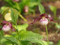 29.05 �������� � ��������